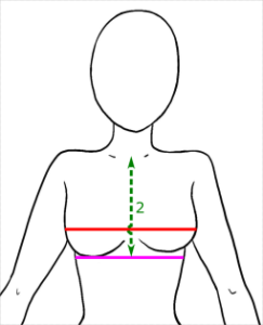 Distance entre la base du cou au milieu devant et la ligne sous-mammaire au milieu devant mais en tenant compte du volume des seins.